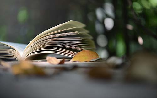 廣東省成人高考錄取通知書怎么領(lǐng)取？