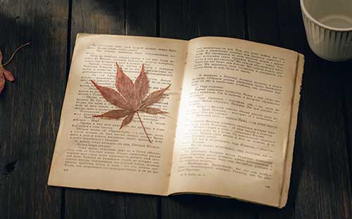 成人高考報考時間是怎么安排的？