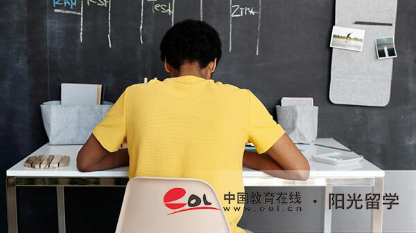 西南大學(xué)1+3國際本科如何申請，項目好不好