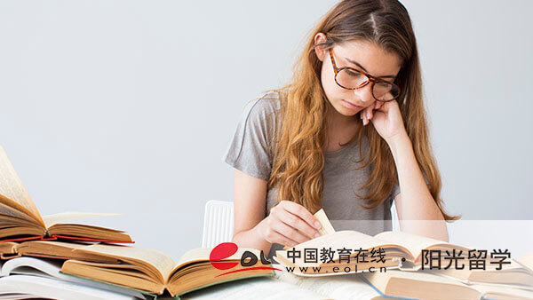法國數(shù)據(jù)藝術(shù)專業(yè)研究生留學(xué)條件有哪些