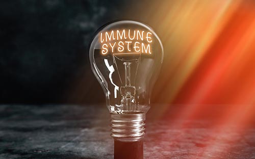 成都郫都區(qū)自考報名中心在哪？線上怎么報名？