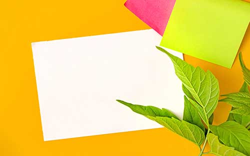 上海市自考的報(bào)名入口是什么？報(bào)名流程是什么？