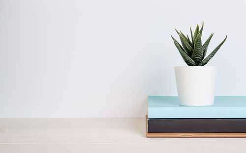 安徽?？谱钥紟自路輬?bào)名？怎么查成績？