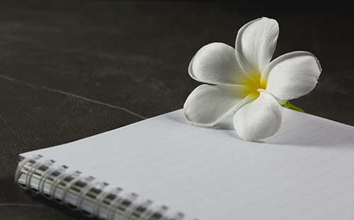 深圳自考文憑有哪些報名要求？需要注意哪些問題？