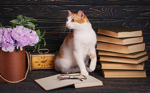 杭州成人在職自考本科怎么報名？需要注意哪些問題？