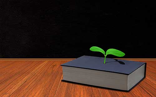 自考?？茖W(xué)歷能報考公務(wù)員嗎？考試科目復(fù)雜嗎？